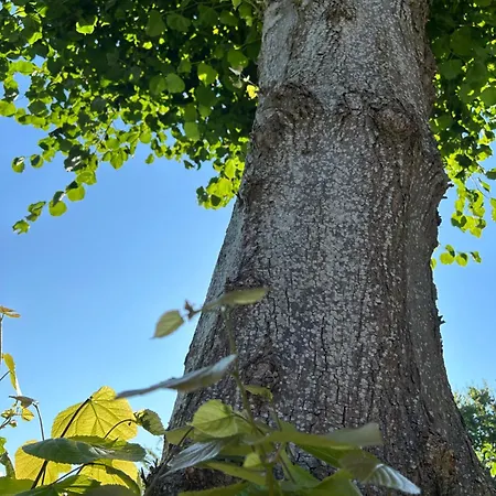 Lägenhet Liten Lind - In Sahlenburg Cuxhaven